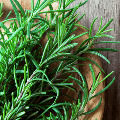 Organic Rosemary Seeds (Pack Of - 15 Seeds)
