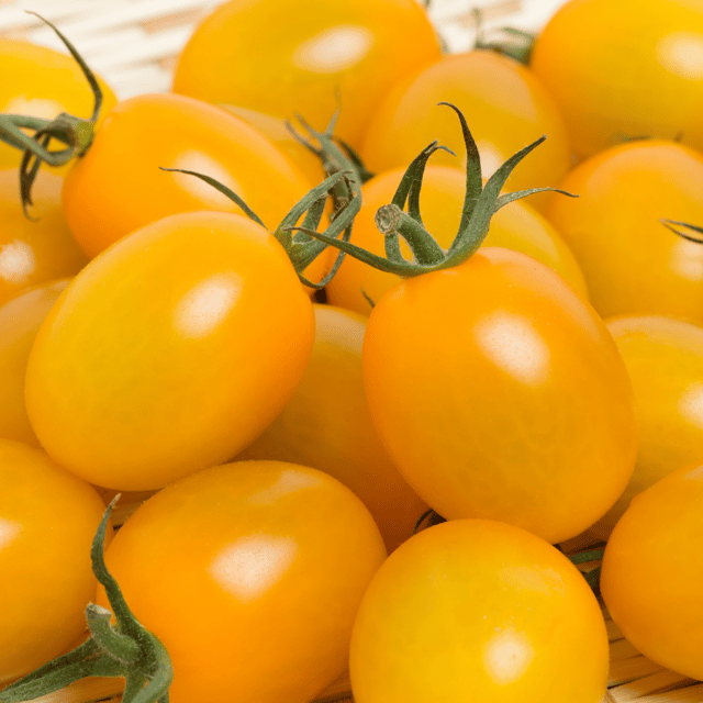 Organic (F2 Hybrid) Cherry Tomato (Yellow) Seeds (Pack Of - 40 Seeds)