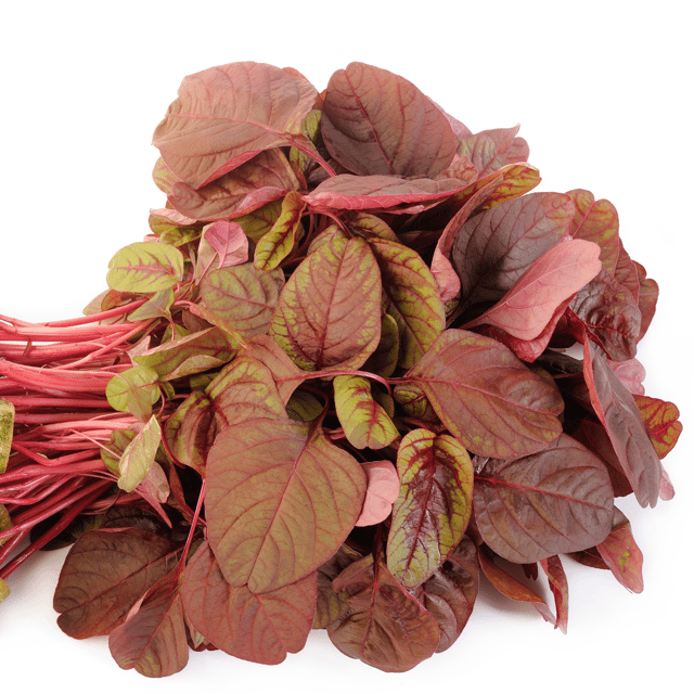 Organic (F3 Hybrid) Red Spinach Seeds(Pack Of - 200 Seeds)