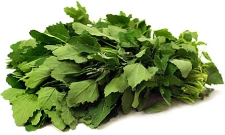 Organic (F3 Hybrid) Bathua /White Goosefoot Seeds(Pack Of - 200 Seeds)