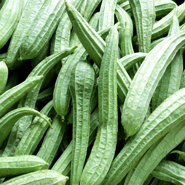 Organic (F3 Hybrid) Torai / Ridge Gourd Seeds(Pack Of - 20 Seeds)