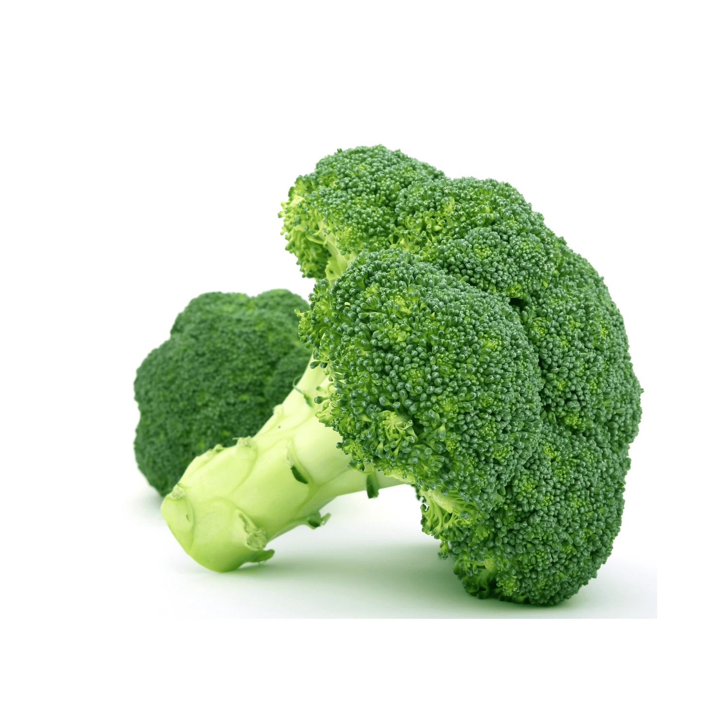 Organic Broccoli Seeds(Pack Of - 100 Seeds)