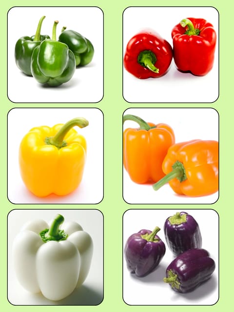 6 Types of Colorful Capsicum Seeds Combo