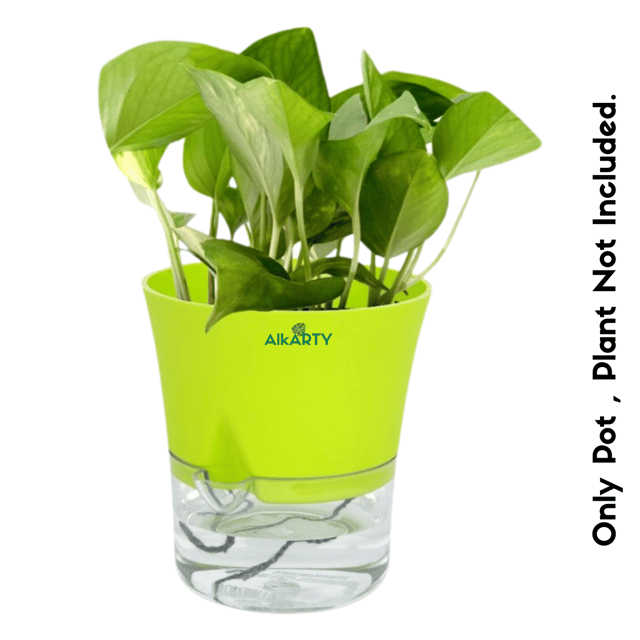 ALKARTY SELF WATERING POT 4.5 INCH | ASSORTED COLOURS | SET OF 2