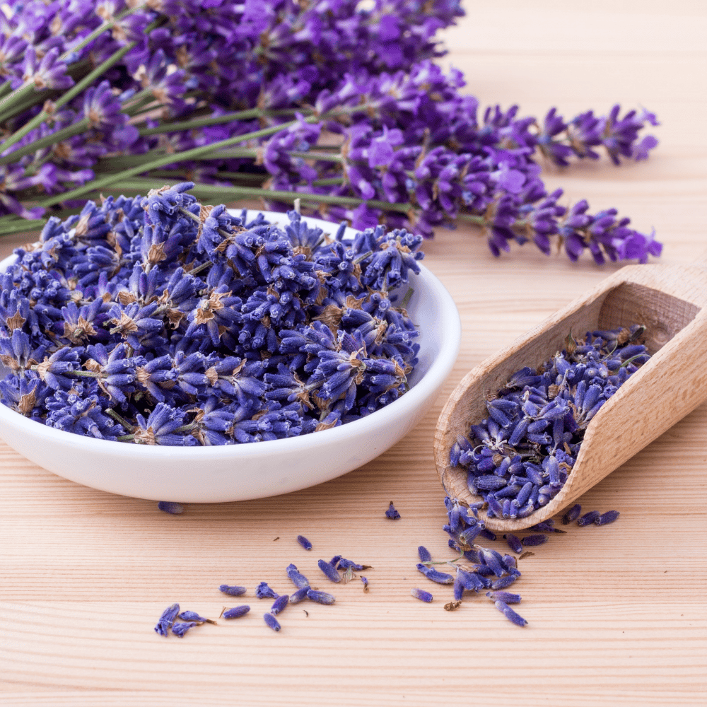 Organic Lavender Seeds (Pack Of - 30 Seeds)