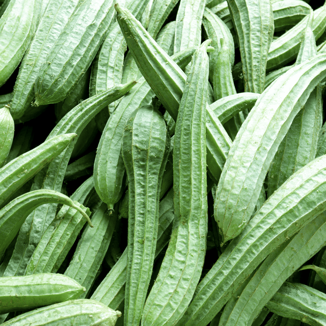 Organic (Desi) Torai / Ridge Gourd Seeds(Pack Of - 20 Seeds)