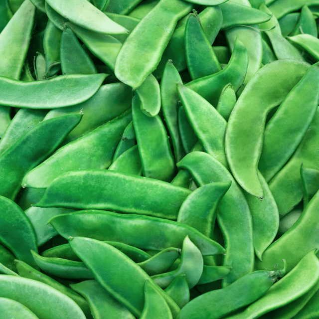 Organic (F3 Hybrid) Sem Phali/Lima Beans Seeds(Pack Of - 15 Seeds)