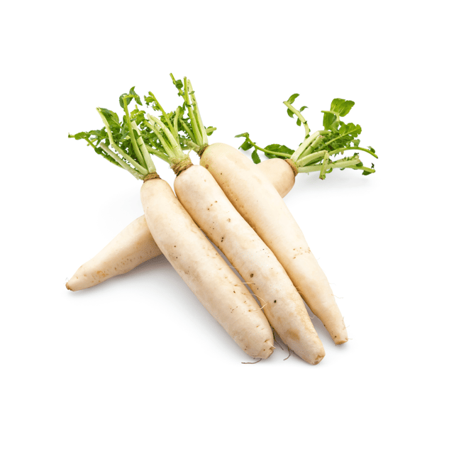 Organic (F3 Hybrid) Radish /Muli  Seeds(Pack Of - 50 Seeds)