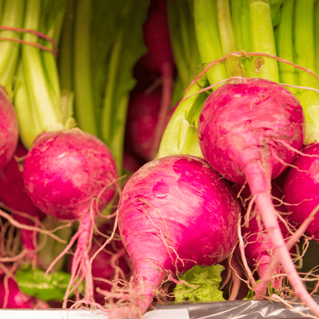 Organic (F3 Hybrid) Turnip Red Seeds(Pack Of - 50 Seeds) - Shaljam Seeds
