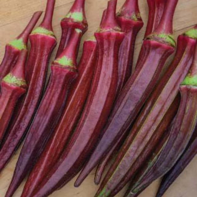 Organic (F2 Hybrid) Lady Finger (Red) Seeds(Pack Of 15 Seeds)