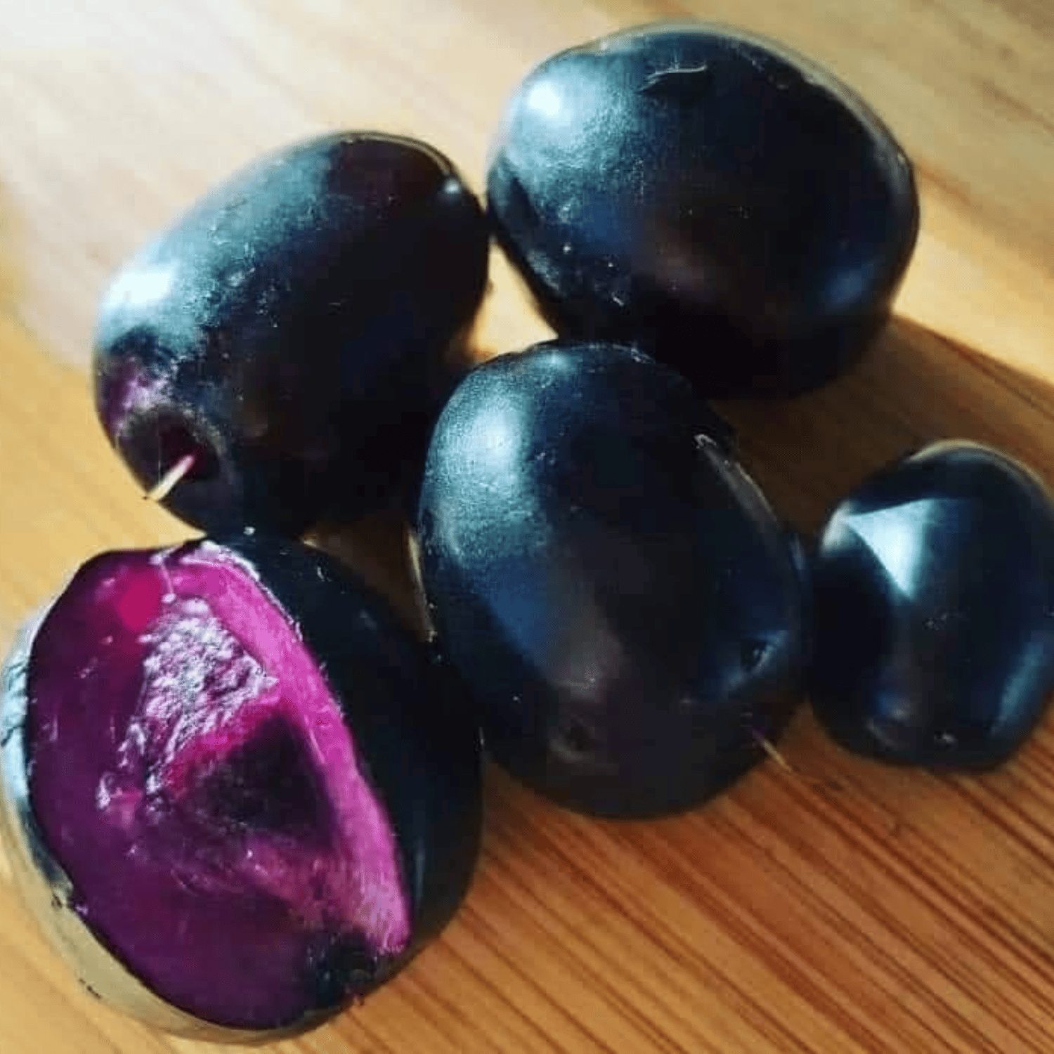 Thai Black Jamun Fruit Plant & Tree(Grafted)