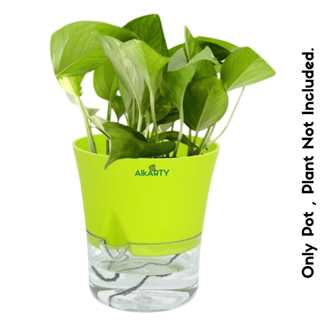 ALKARTY SELF WATERING POT 4.5 INCH | ASSORTED COLOURS | SET OF 2