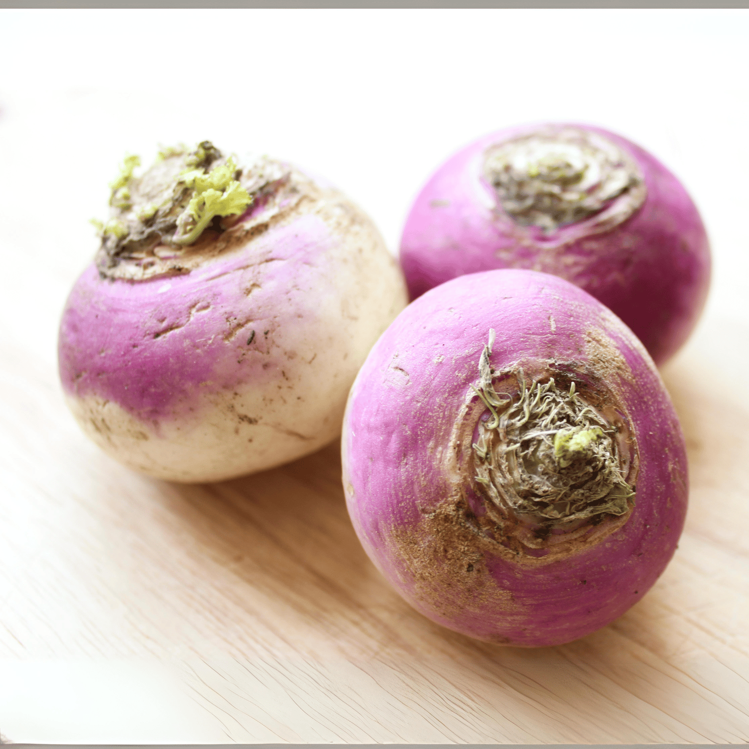 Turnip Seeds(Pack Of - 100 Seeds)