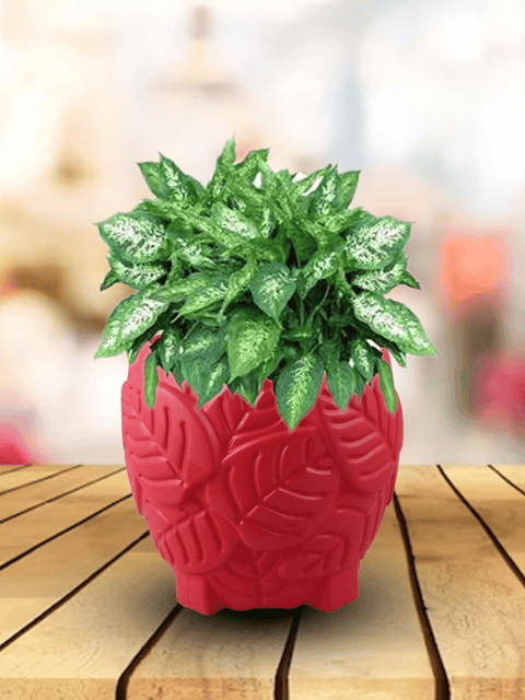 Leaf Design Flower Pot | Indoor-Outdoor Planter for Home Decor |  8-Inch | SET OF 2