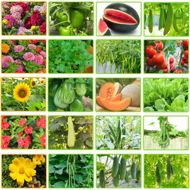 Combo Pack -20 Summer Vegetable and Flowers Mixed Seeds