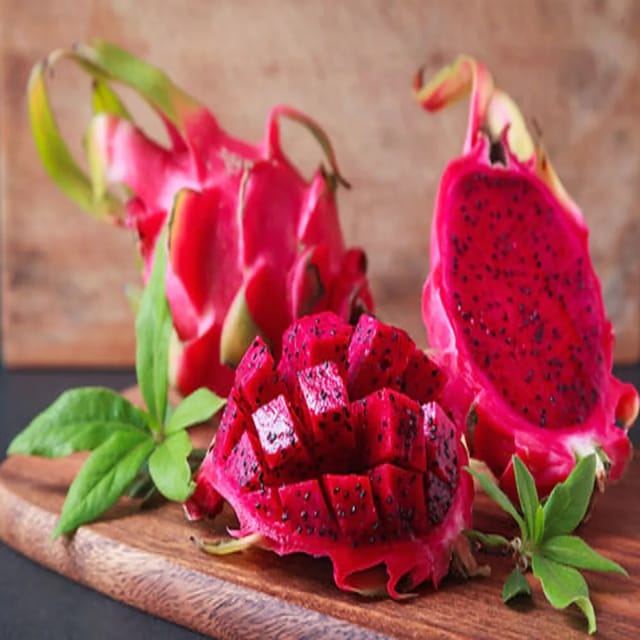 Dragon Fruit Morocan Red - Rooted Cutting