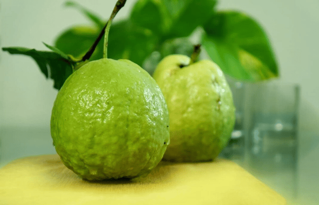 VNR Guava Fruit Plant (Grafted)  | High-Yield Sweet Guava