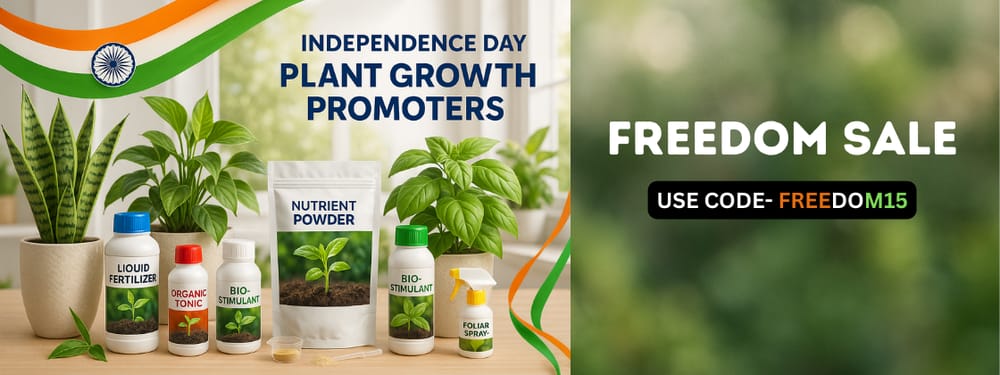 Plant Growth