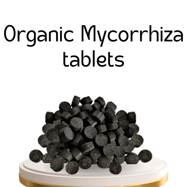 Organic  Fertilizers Tablets 100g | Boost Root Development & Plant Health | Suitable for All Plants