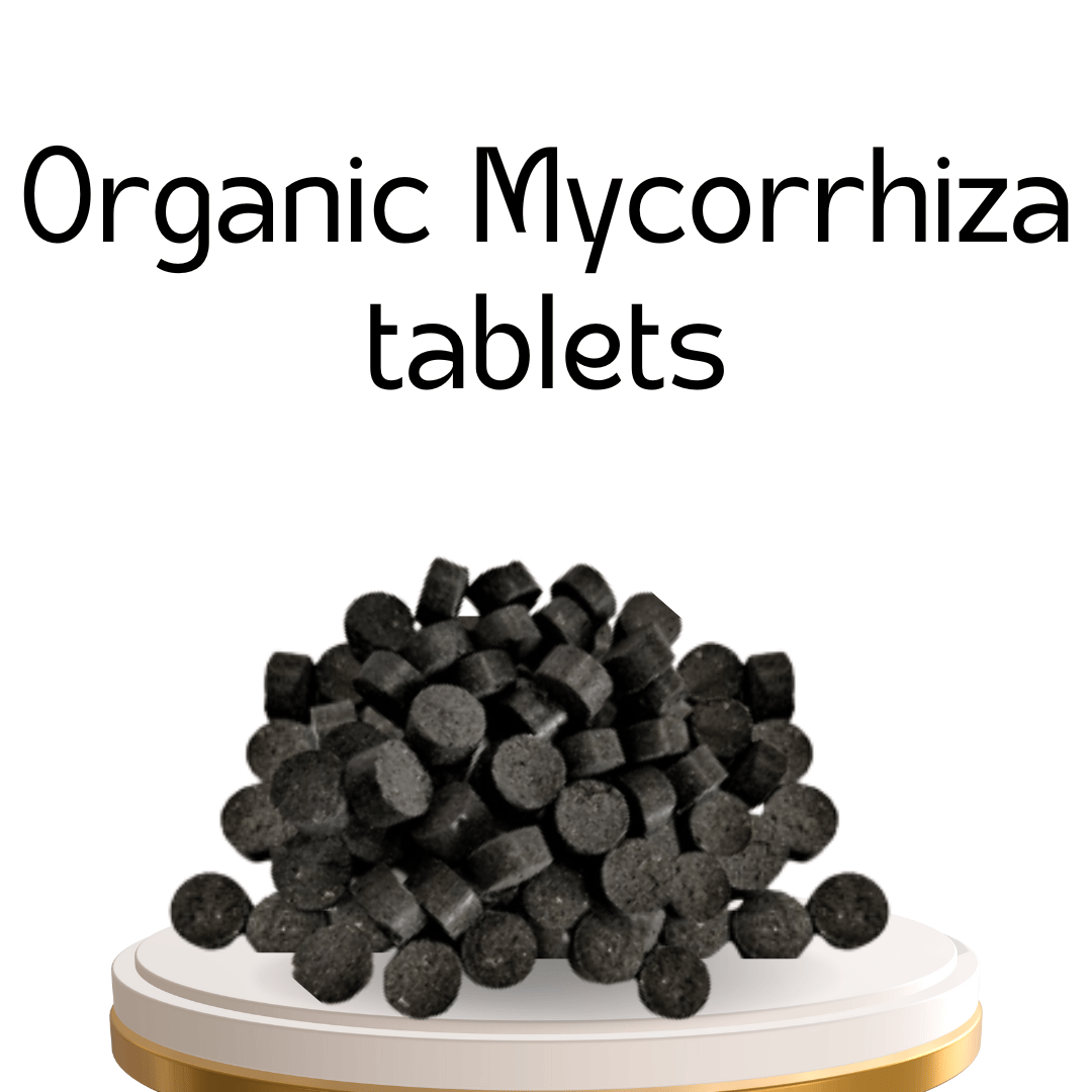 Organic  Fertilizers Tablets 100g | Boost Root Development & Plant Health | Suitable for All Plants