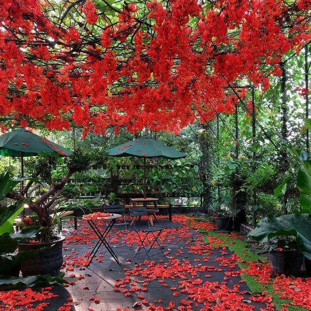 Jade Vine Red
