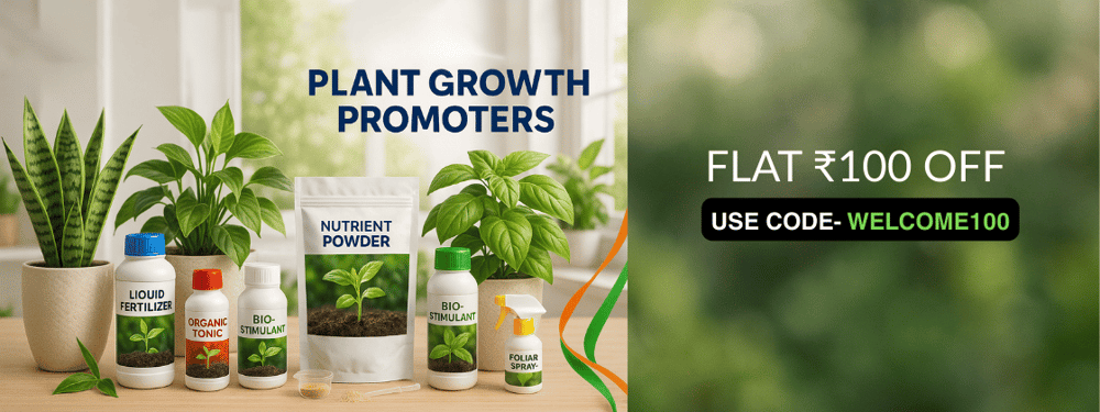 Plant Growth