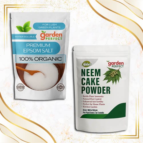 Organic Combo - Epsom Salt and Neem Cake Powder for Plants 500g Each