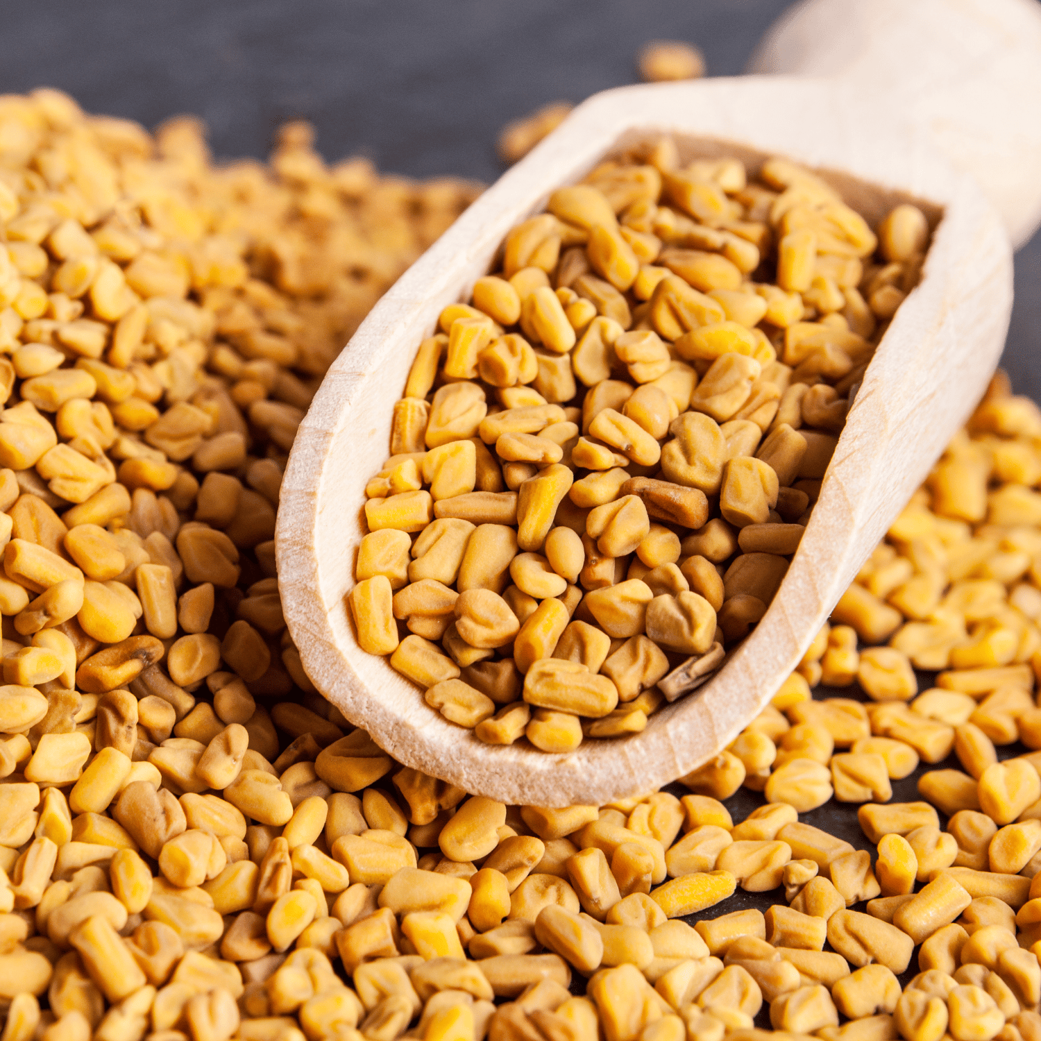 (Desi) Methi / Fenugreek Seeds(Pack Of - 100 Seeds)