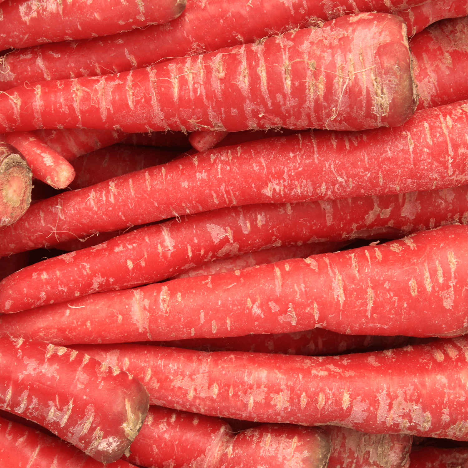Carrot Fruit (Red)Seeds (Pack Of - 100 Seeds)