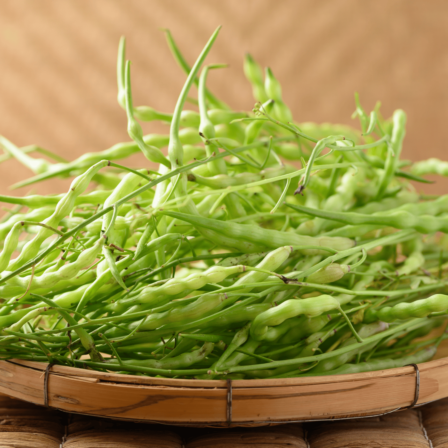 Organic Singra (Radish Pods) Seed (Pack Of - 50 Seeds)