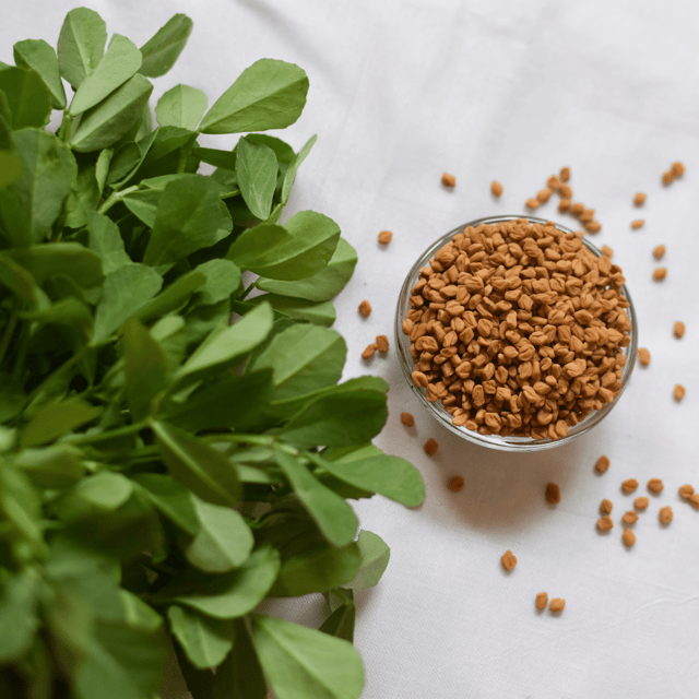 Fenugreek/ Methi Leaves Seeds (Pack Of - 100 Seeds)