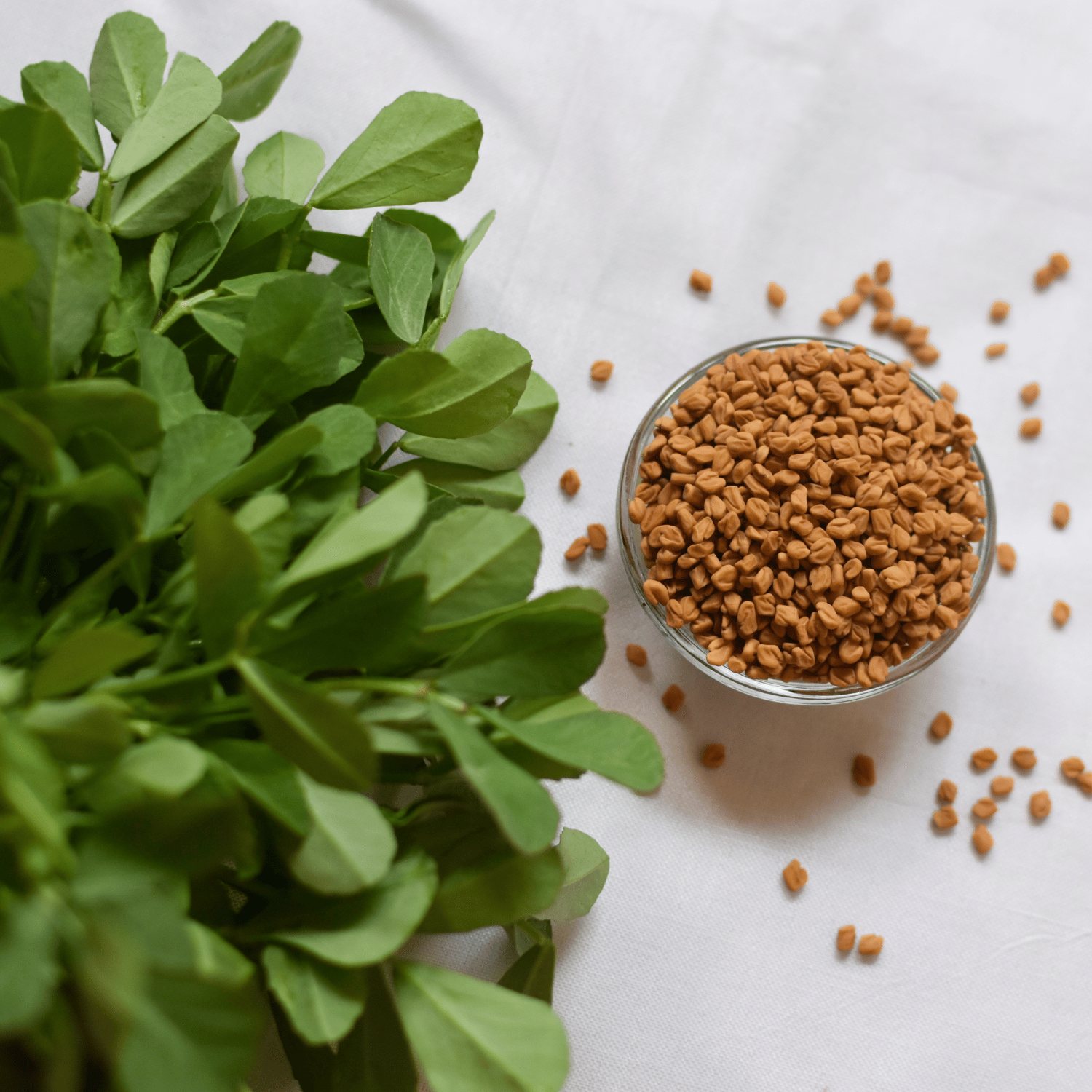Fenugreek/ Methi Leaves Seeds (Pack Of - 100 Seeds)