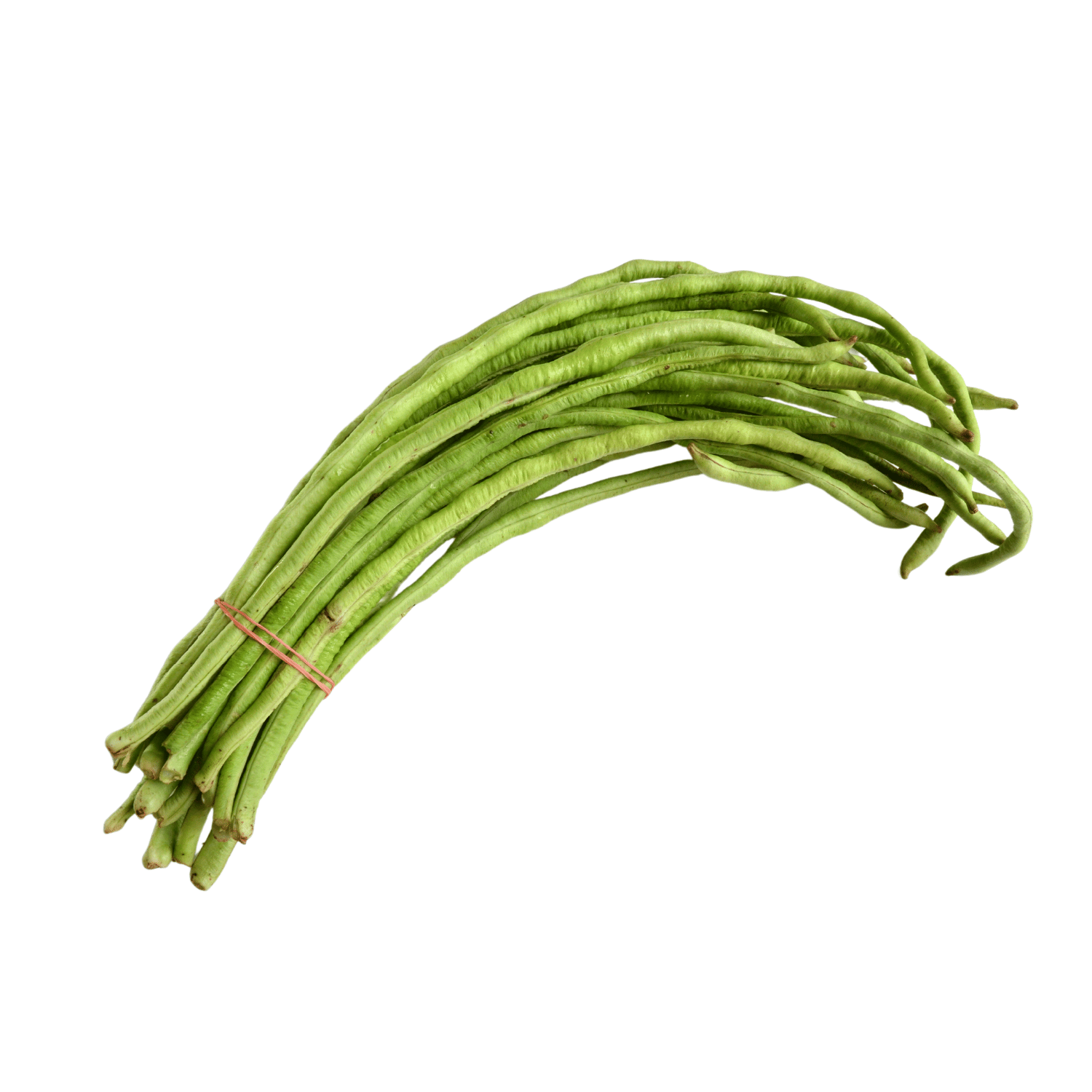 Organic Cow Pea Lobiya (Barbatti) Seeds (Pack Of - 50 Seeds)