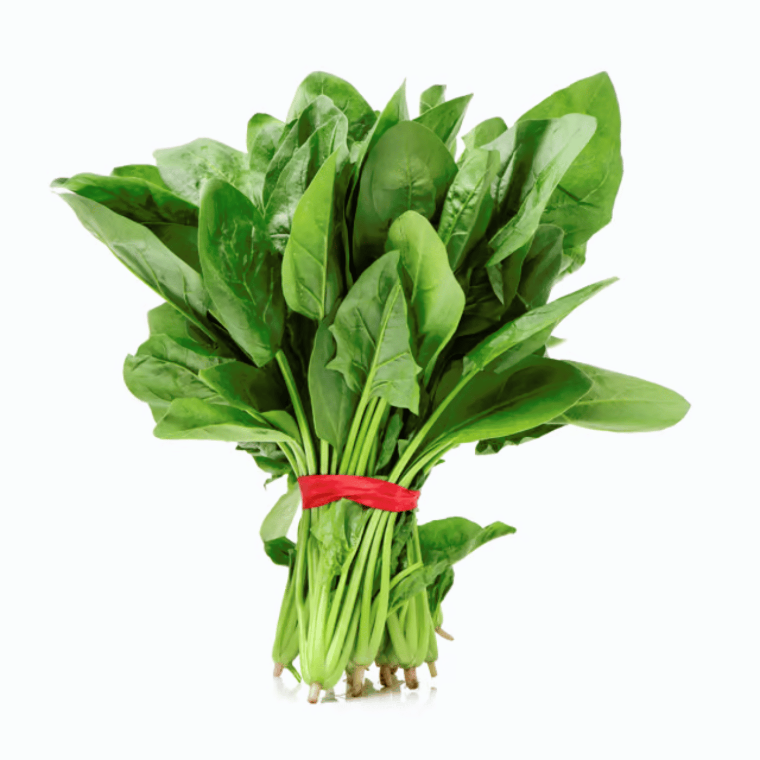 Palak / Green Spinach Seeds (Pack Of - 100 Seeds)