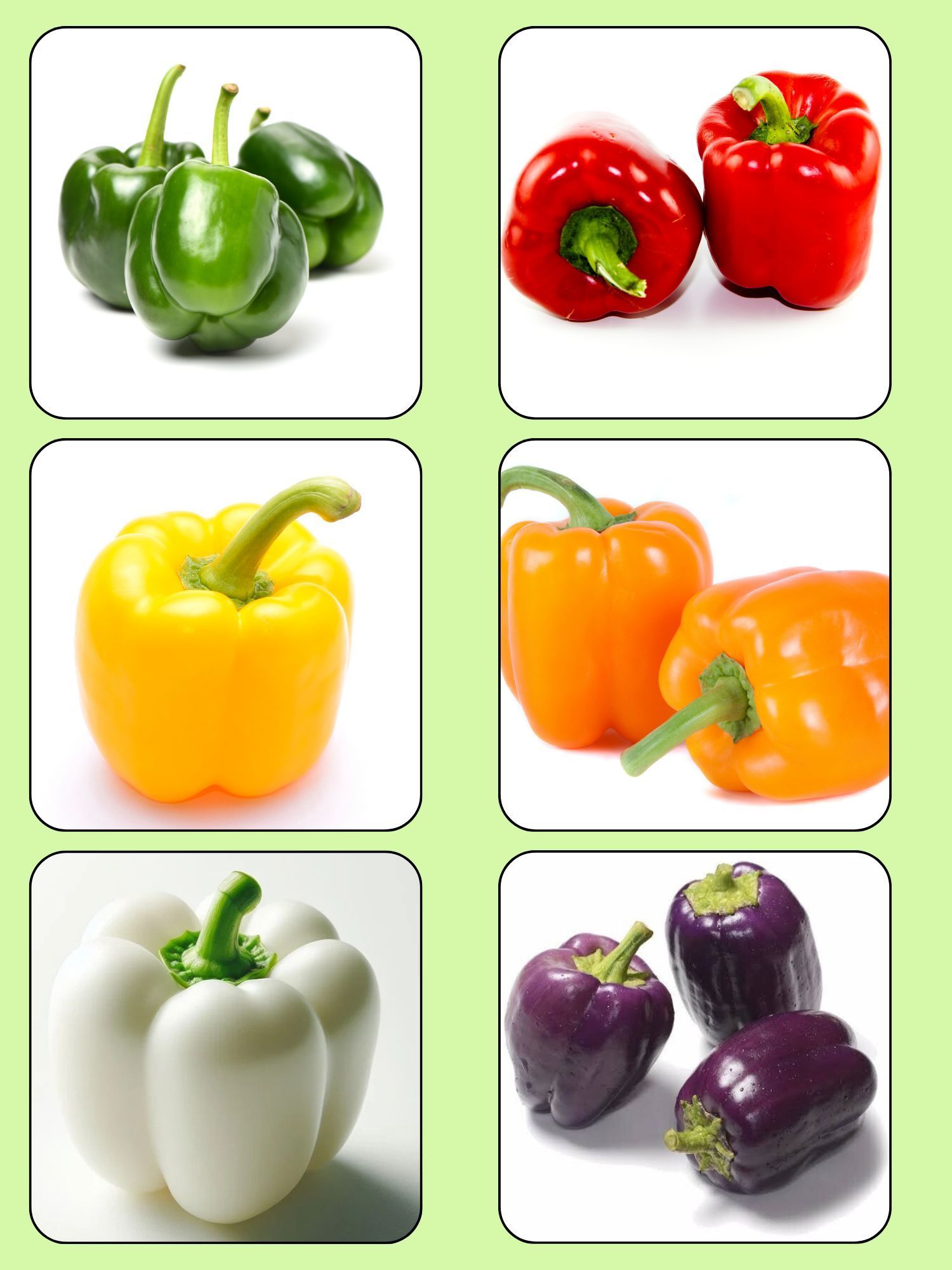 6 Types of Colorful Capsicum Seeds Combo (20 Seeds Each Packs)