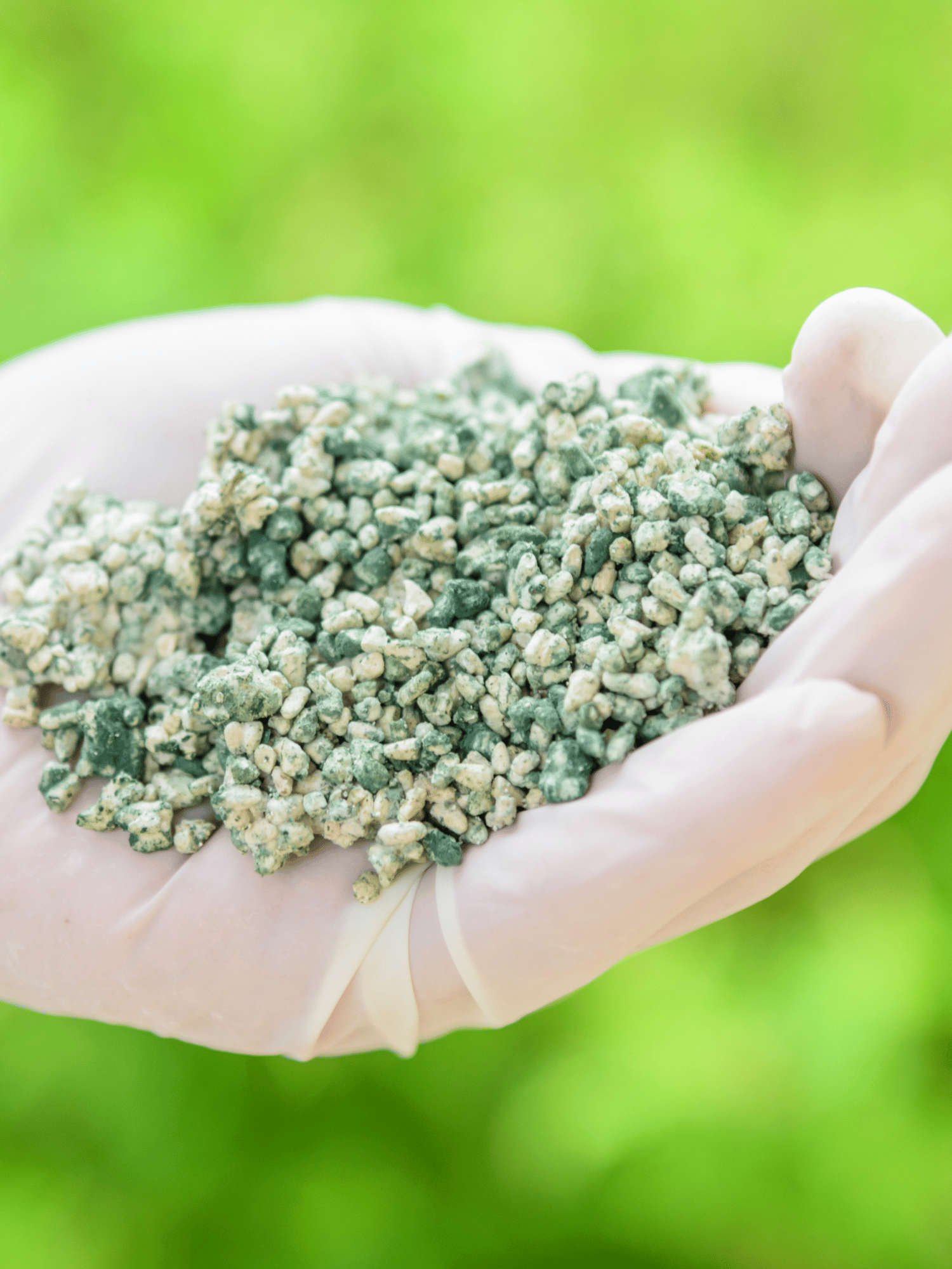 Trichoderma Virde Organic for Plants, Vegetables & Fruits – Sustainable Fungicide 200 Grams