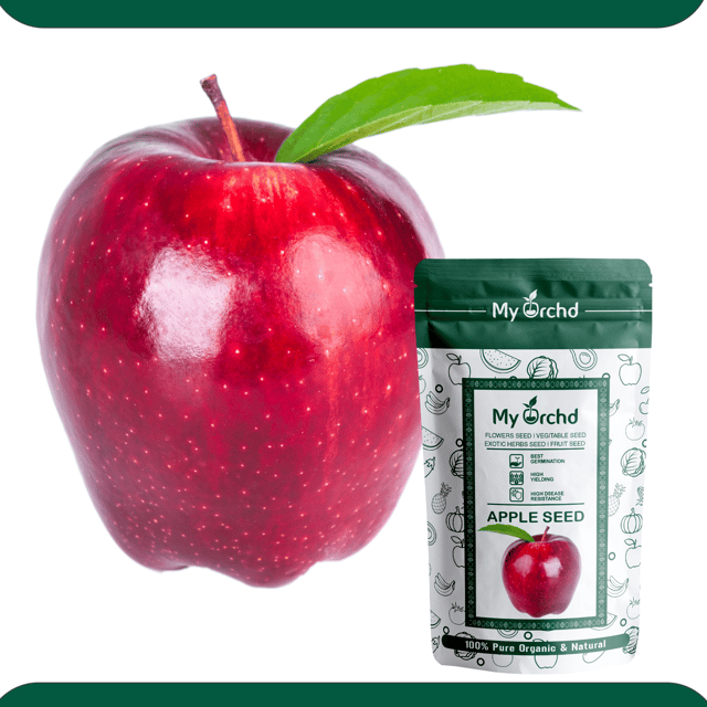 Apple Seeds