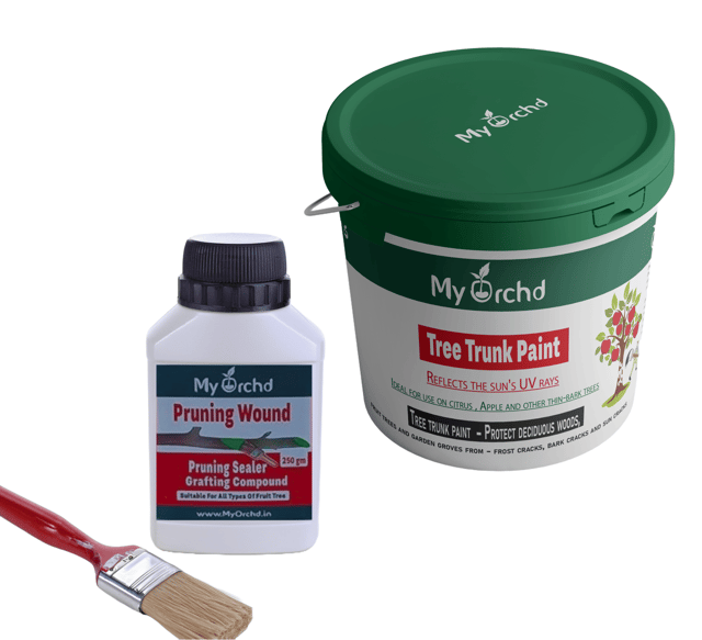 Garden Tree Maintenance Kit– Tree Trunk Paint (2kg) + Pruning Sealer (250g) | Waterproof, Plant-Safe | Protect Bark, Heal Wounds & Pruning Cuts