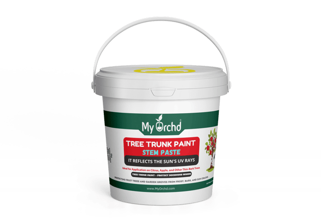 Tree Trunk Paint – Protects Trees from Sunburn, Insects & Cracks