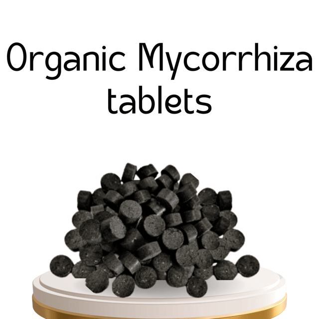 Organic  Fertilizers Tablets 100g | Boost Root Development & Plant Health | Suitable for All Plants