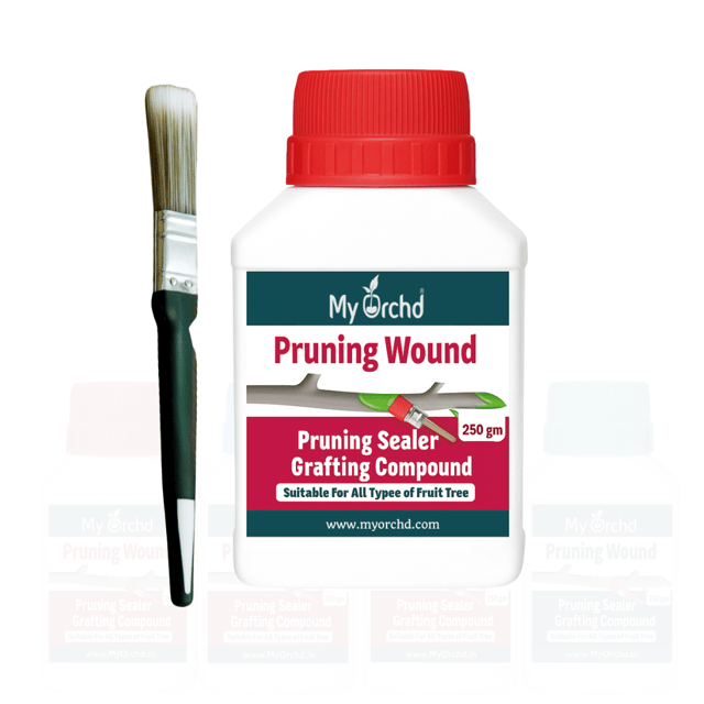 Pruning Sealer | Tree Wound Sealer  with Brush for Bonsai, Fruit Trees, Home & Garden