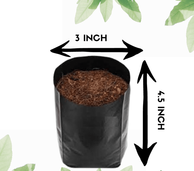 UV Protected Nursery Grow Bag- 5 x 6 Inch (Pack Of 100) UV Protected Nursery Grow Bag- 5 x 6 Inch (Pack Of 100)