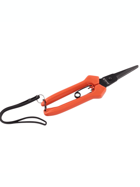 Falcon Ruchi Rose Cutter Γ’ΒΒ Perfect for Pruning Roses & Plants Falcon Ruchi Rose Cutter Γ’ΒΒ Perfect for Pruning Roses & Plants