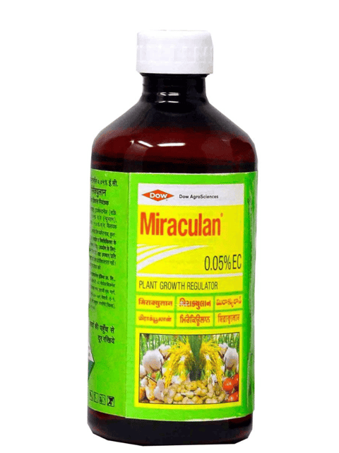 Miraculan Plant Growth Booster - 100 ml | Enhances Plant Health and Development Miraculan Plant Growth Booster - 100 ml | Enhances Plant Health and Development