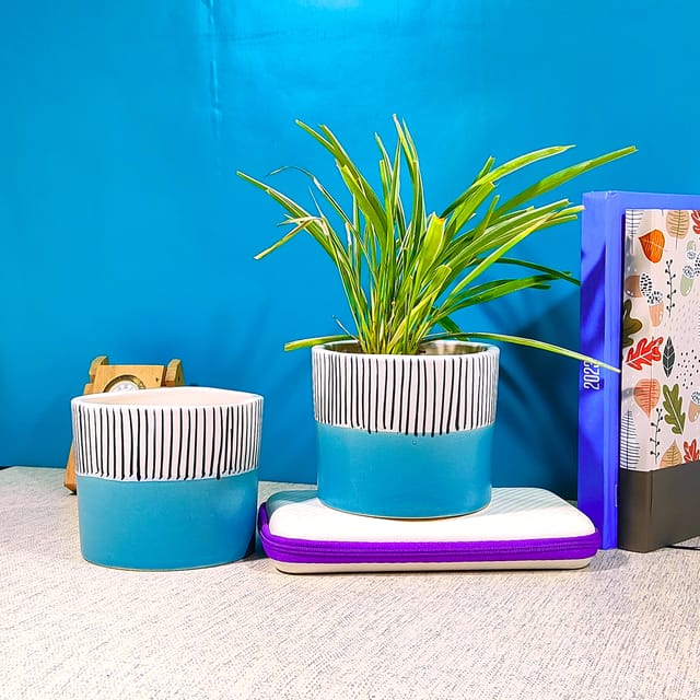 Ceramic Cylindrical Planter Pots |  Blue & Black Top Lining Plant Containers | Indoor & Outdoor Flower Pots (Pack of 2)