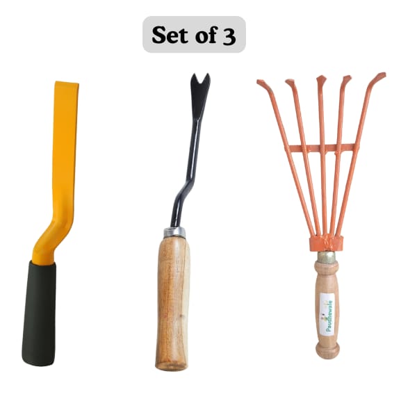 Home Gardening Tools Combo Set of 3 – Weeder, Rake & Khurpi