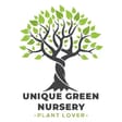 Unique green nursery 