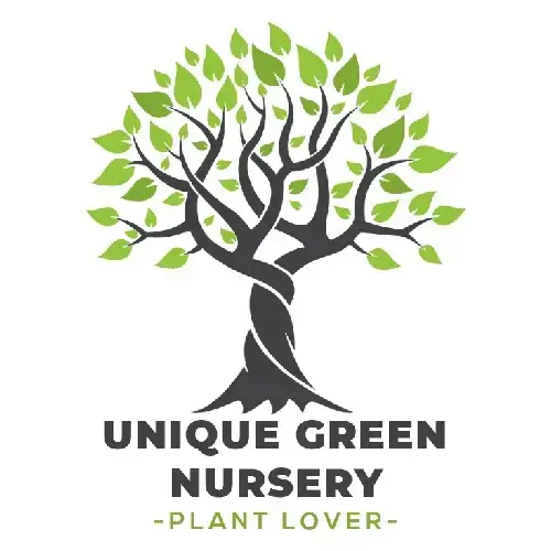 Unique green nursery