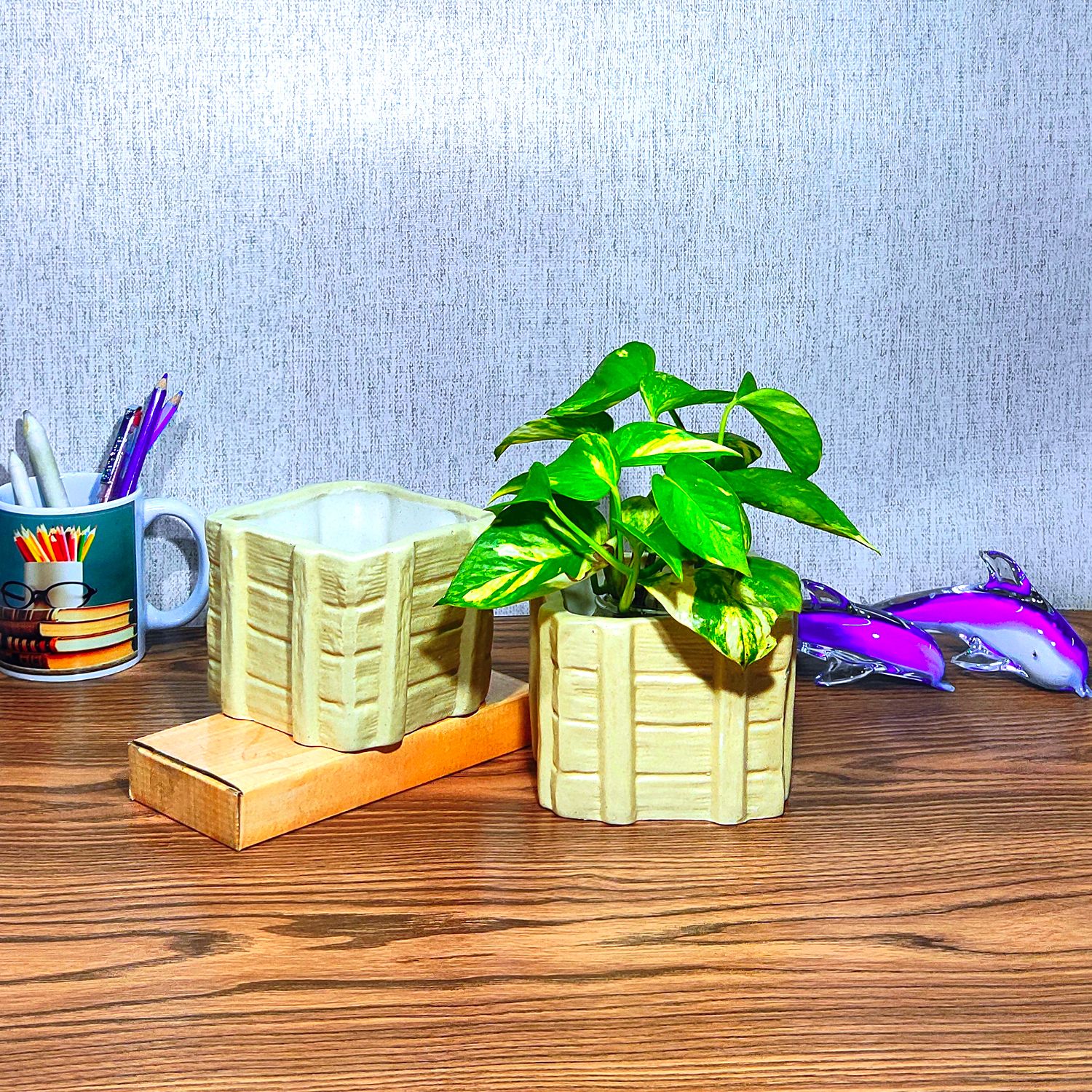 Ceramic Wooden Style Planter Pots for Indoor Plant | Decorative Succulent & Tabletop Flower Pots (Pack of 2)