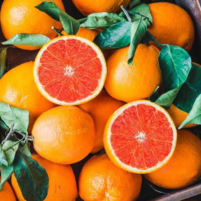 Cara Cara Navel Orange Plant
